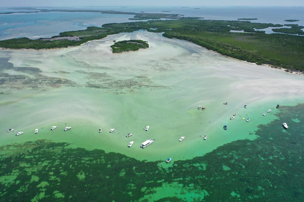 Aerial of a mangrove island and sandbar