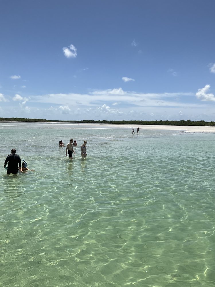Guests wading through clear, shallow water at the sandbar