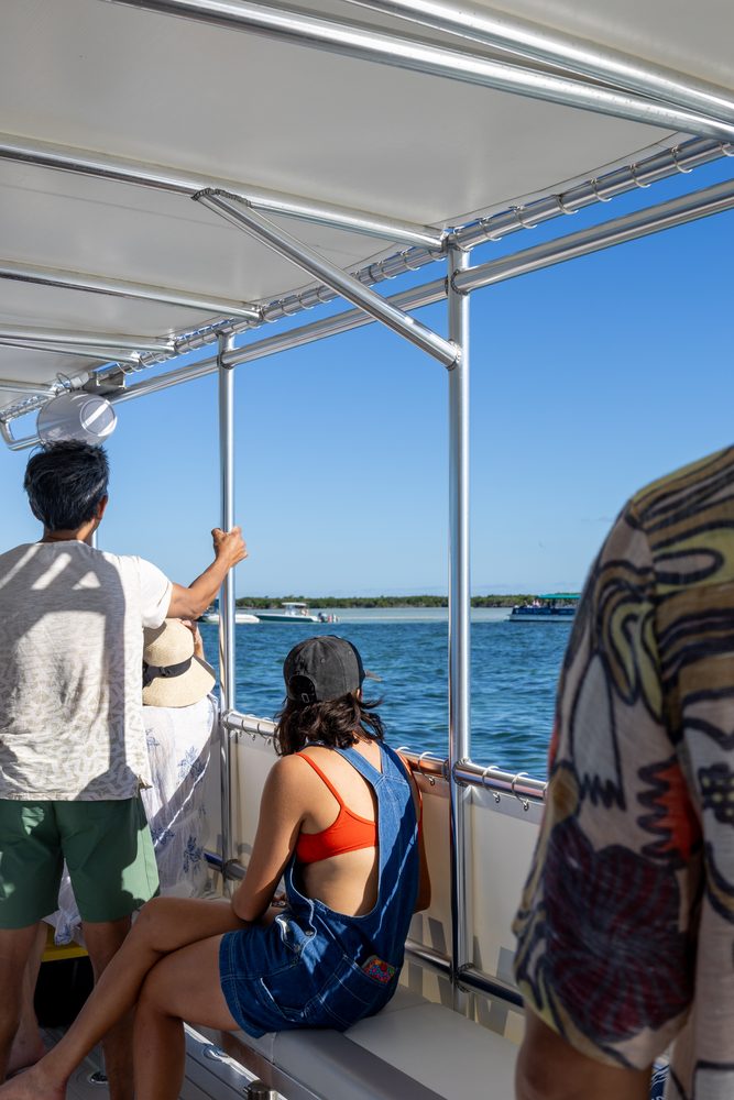 Guests looking out from the shaded deck of the boat