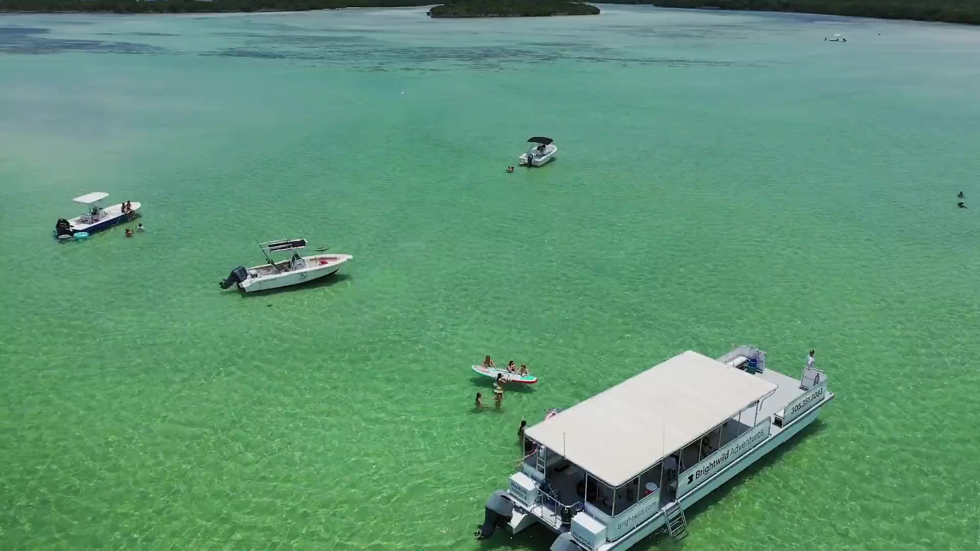 Aerial view of the Brightwild Adventures boat anchored on a bright green sandbar with guests in the water